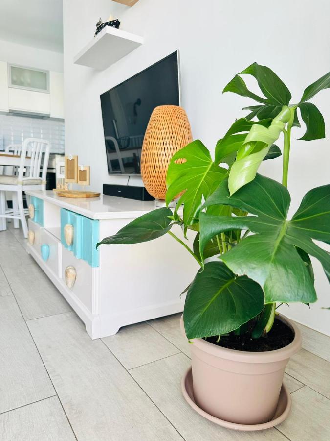 Casa Adelfa Apartment ปูแอร์โตเดลคาร์เมน ภายนอก รูปภาพ