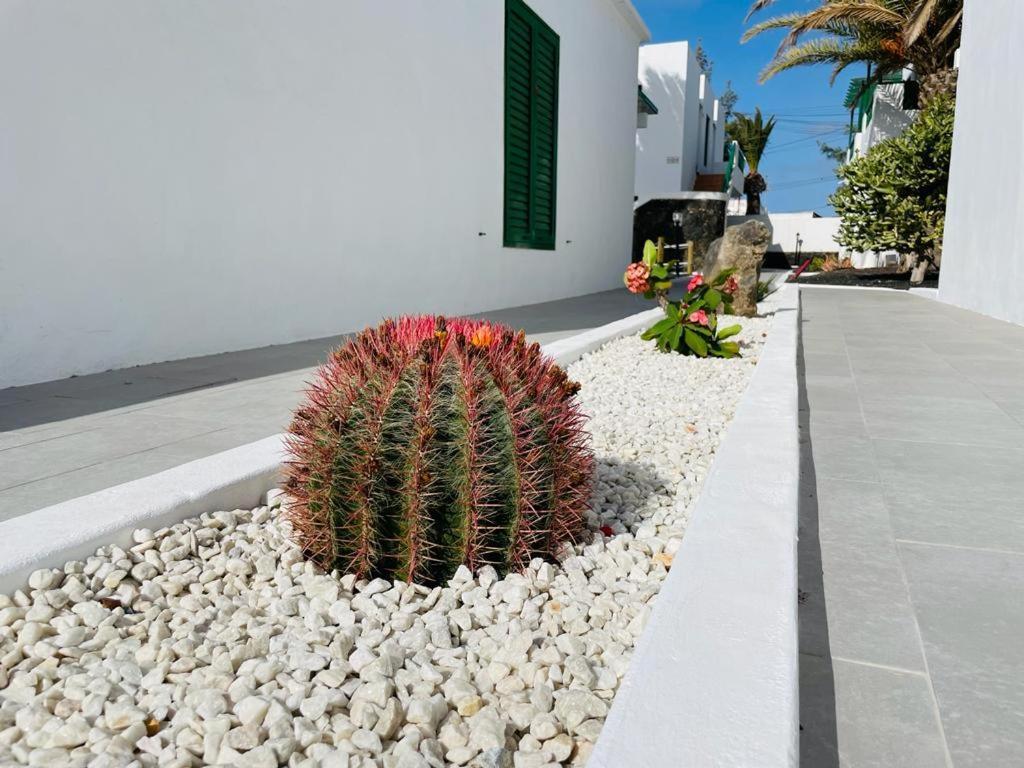 Casa Adelfa Apartment ปูแอร์โตเดลคาร์เมน ภายนอก รูปภาพ